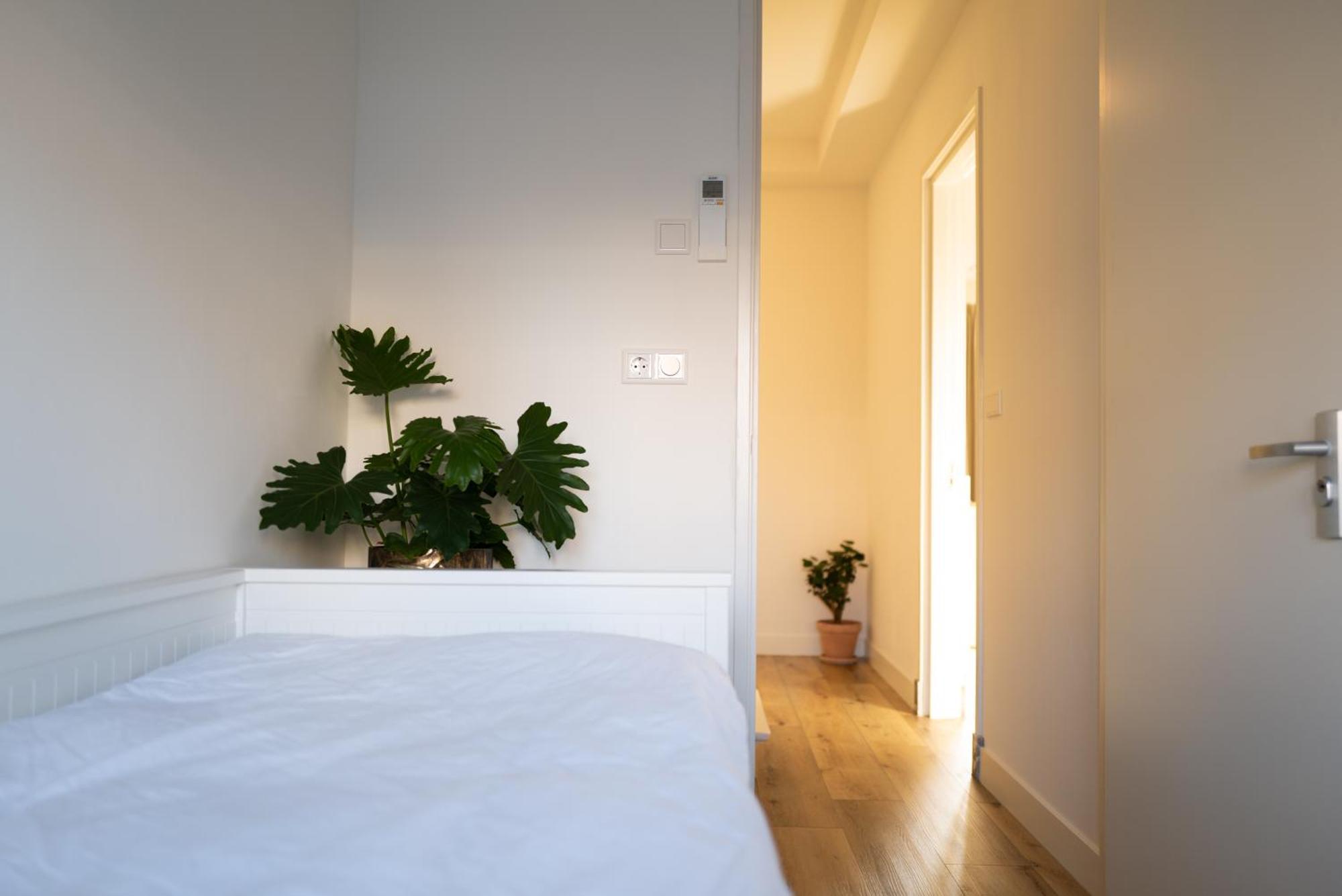 Appartement Sea Street 32 à Zandvoort Extérieur photo